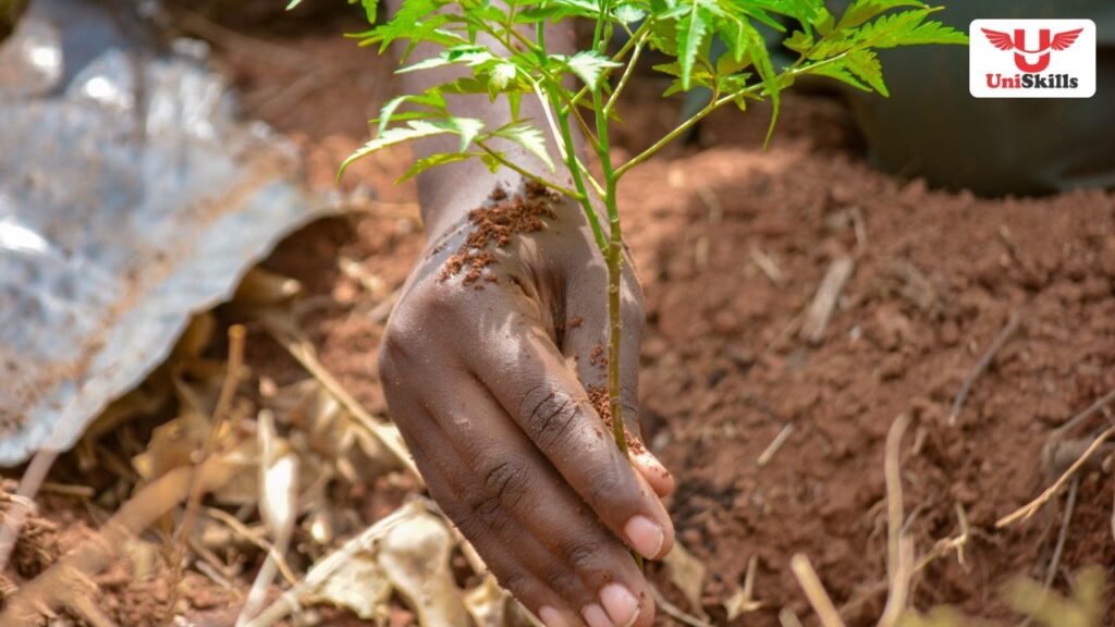 Gestão Ambiental e Social de Projectos